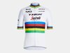 Santini Trikot Santini Trek-Segafredo Rainbow Replica XS W