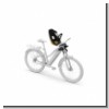 Kindersitz Thule Yepp Nexxt 2 Mini