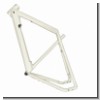 Rahmen Raleigh One FMWHT
